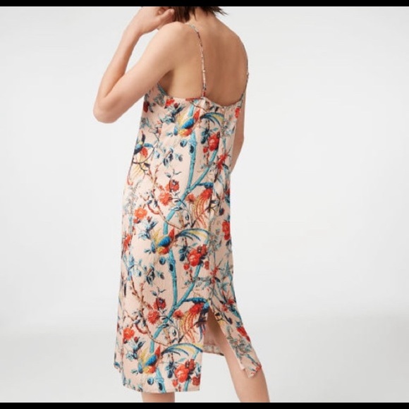 Club Monaco 100% silk dress with a gorgeous bird print pattern. Worn once - Picture 7 of 7